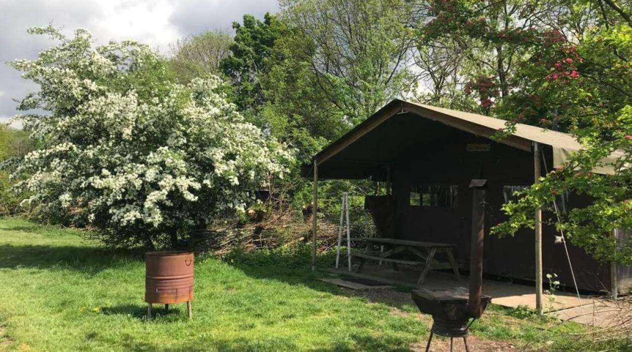 Hoeve De Pippert Hotel Ophemert Kültér fotó