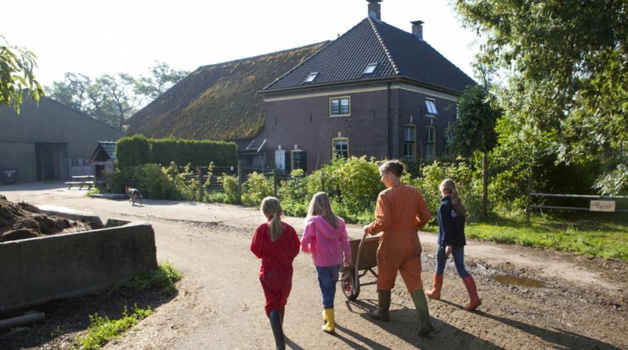 Hoeve De Pippert Hotel Ophemert Kültér fotó